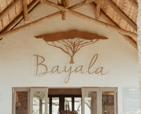 Bayala-Lodge-Wedding-Misha-Lee-Tame-1