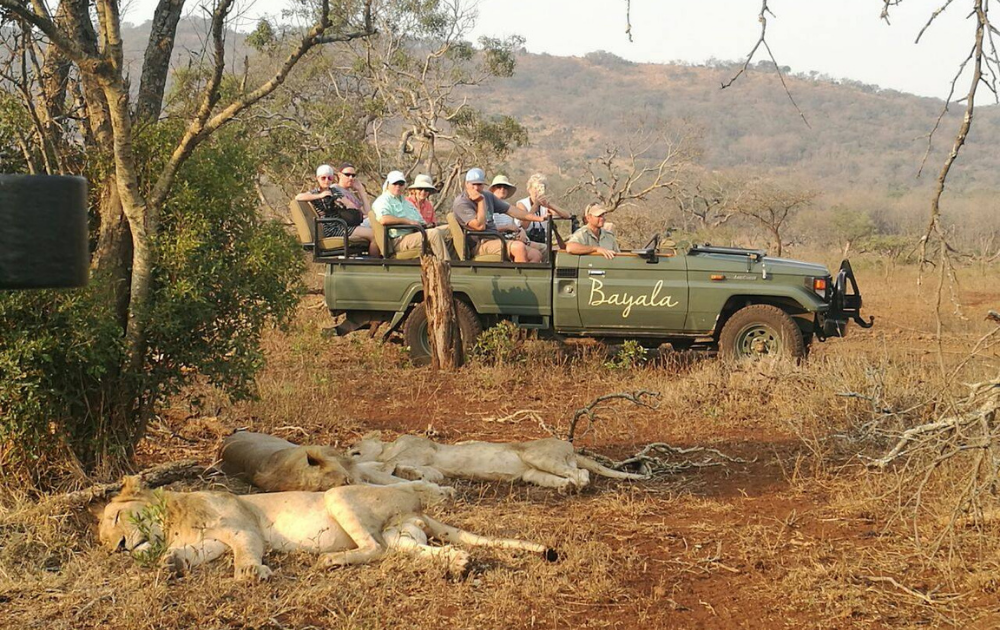 game-drive
