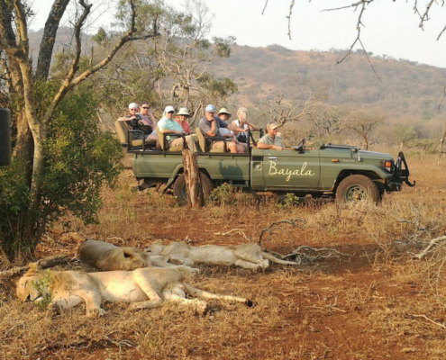game-drive