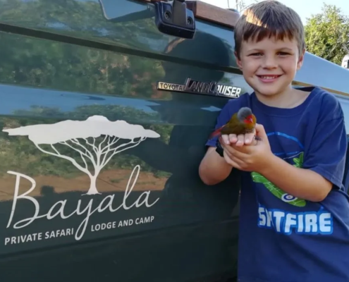 kids-fun-at-bayala-9